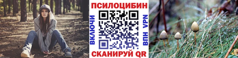 Псилоцибиновые грибы Cubensis Гаврилов-Ям